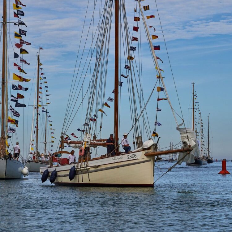 classic channel regatta paimpol bateaux événement